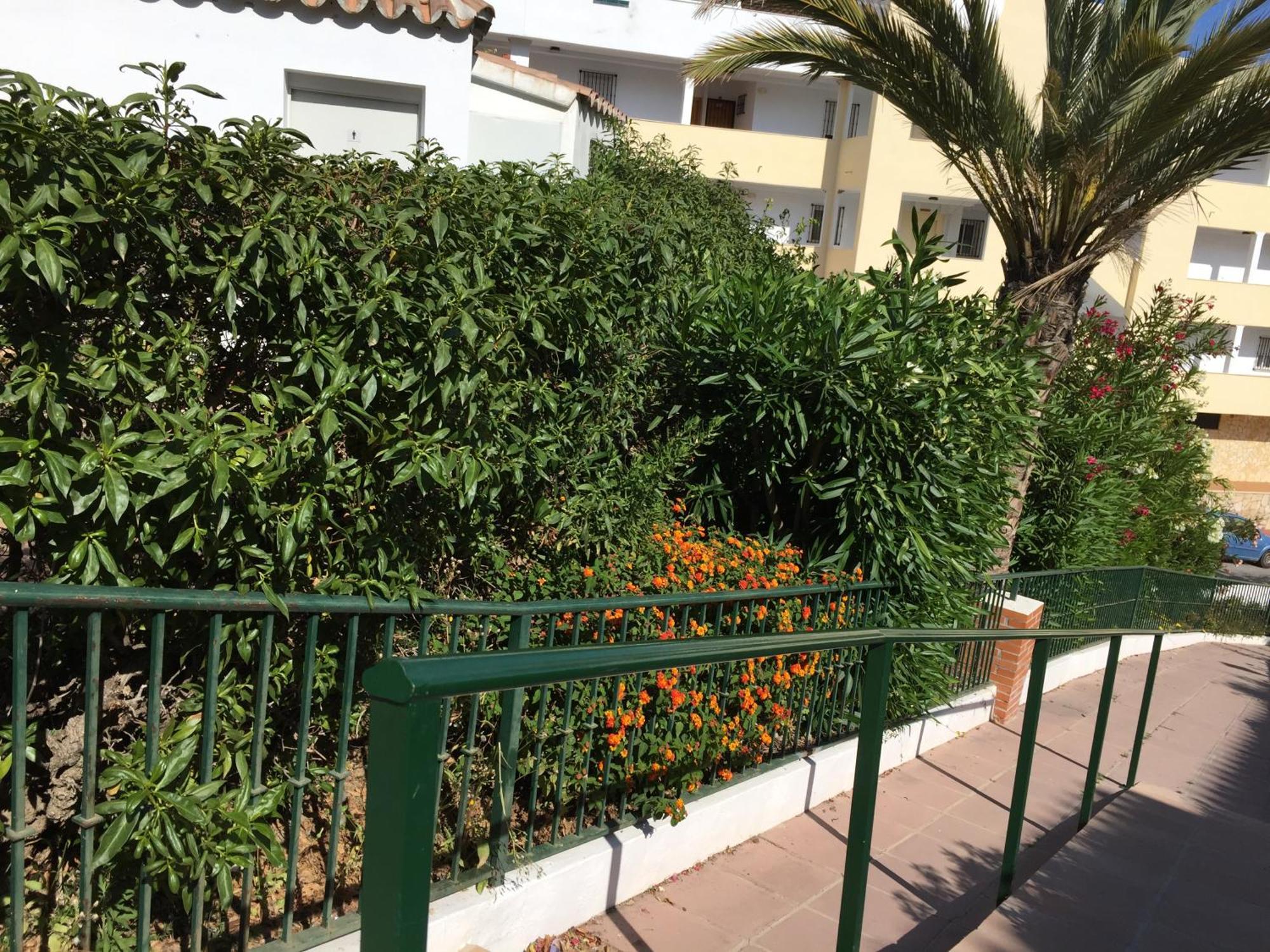 Stella Blanca 24B Leilighet Fuengirola Eksteriør bilde